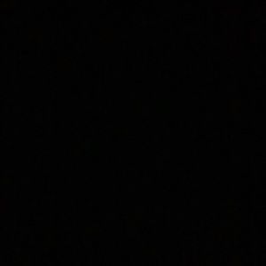 Meet your Posher, Brady